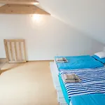 Apartment Jelena1